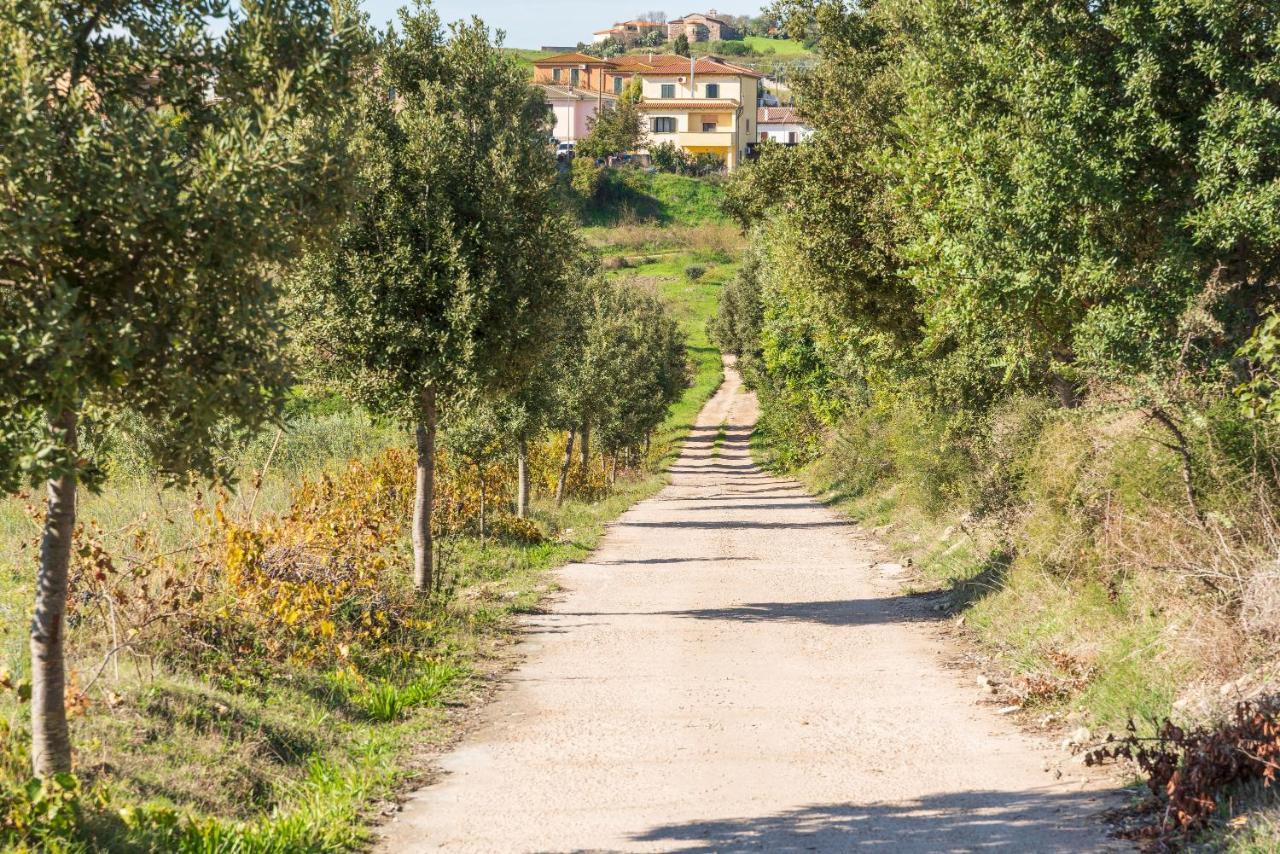 Villa Immersa Nella Natura Perfugas Eksteriør bilde